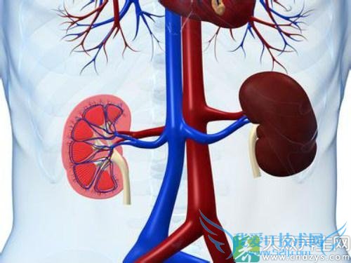 ������������ܲ�ȫ