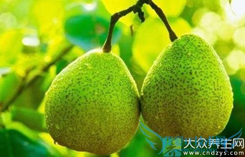 �и��ܳ���������