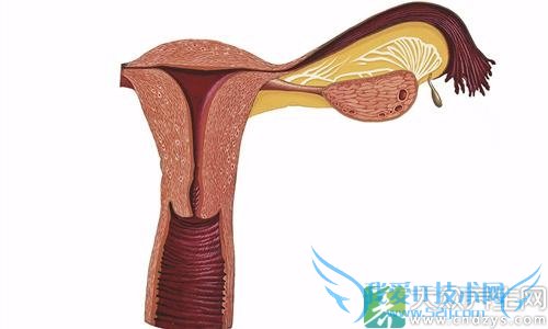 �ӹ�����������ô��