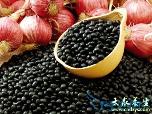 �Ժڶ����Դ�������