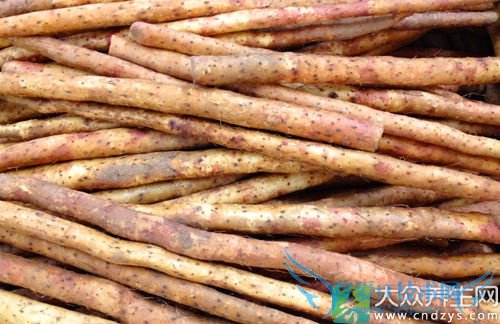 ��Ѫѹ�ܳ�ɽҩ��