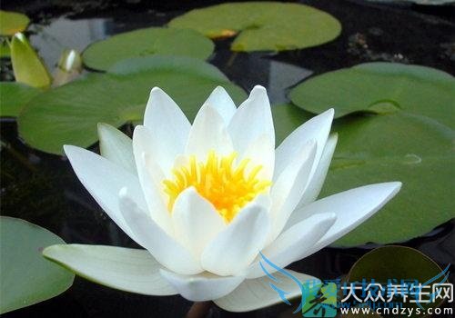 ������ȥ̥��