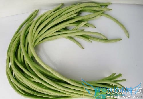 �����ܳԶ�����