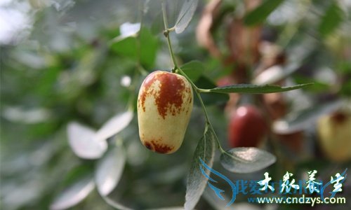 �����ܳ�������