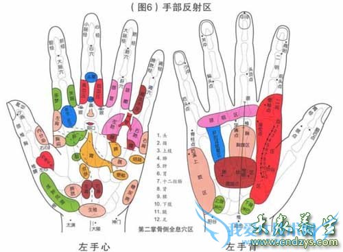 Ů��������Ѫ��������12��(3)