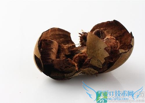 �������ܳ��޺����� 