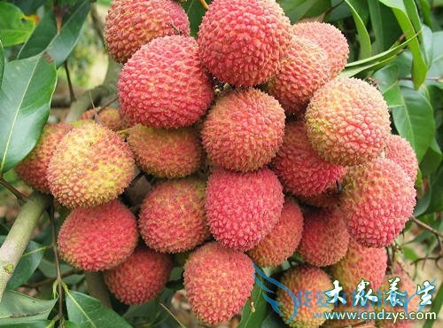 ���籭��ҹ���ϻ� 12����������(7)