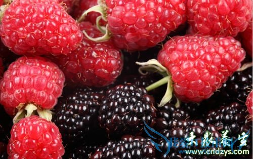 ���п��Գ�ɣ����