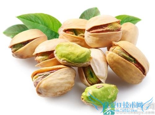 ���ڳ�6�ּ���ñ���������(5)