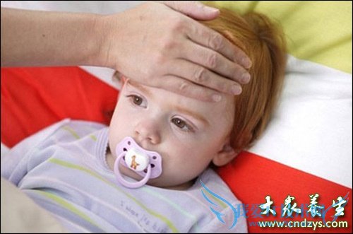 ���������ֽű���