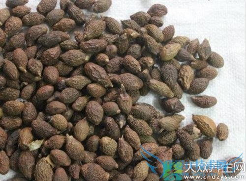 �����ܳ��ִ���