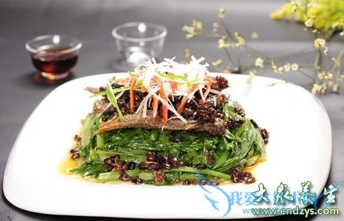 �����ܳ�������� 