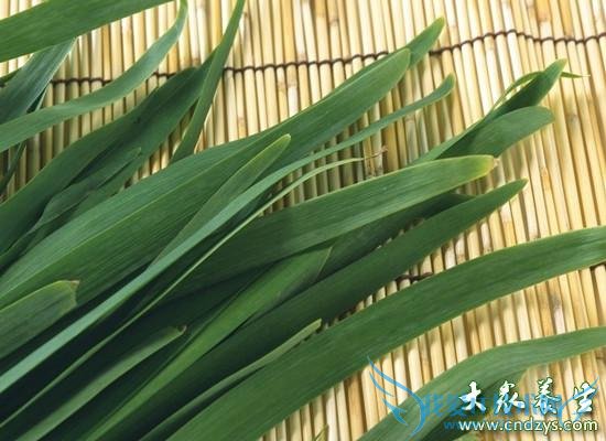 ����Ծ²˵ĺô�����Щ(2)