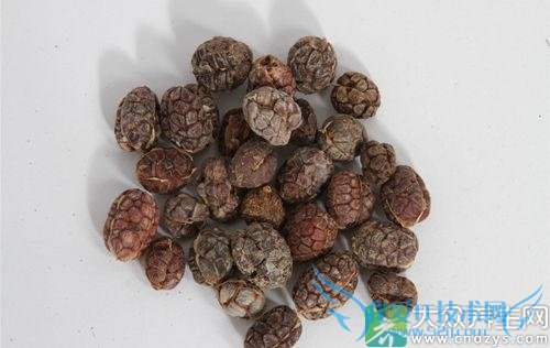 �����ܳ�ɰ���� 