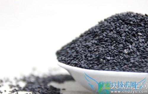 Ƥ�������ܳԺ�֥����  