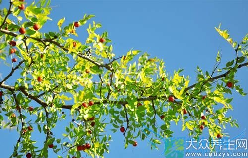 �����ܳ������� 