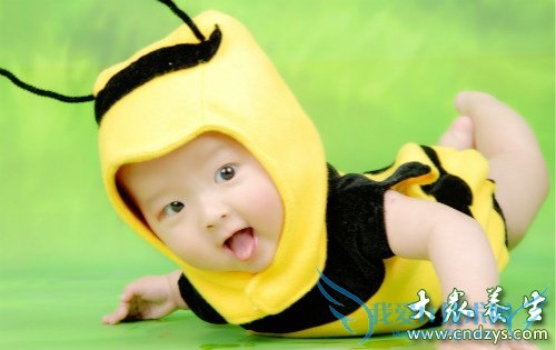 Ӥ��������ҧ����ô��