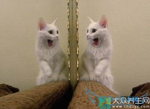 ���ӷ���ǧ�����ⶫ��(1)