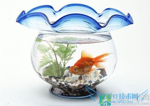 ���ӷ���ǧ�����ⶫ��(7)