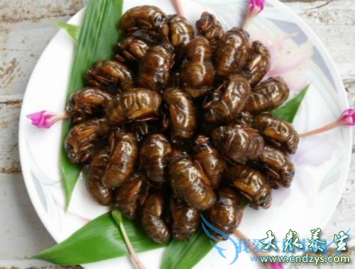 �и��ܳ�֪����