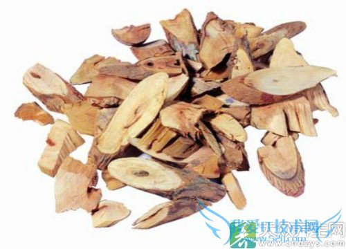 �����ܳ���ҩ��