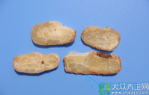 ��Ѫѹ�ܳԸ�����