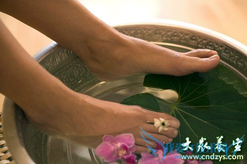 ����5��������Ԥ������(6)