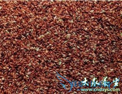 ������˥�ϵ�9���Ʒ,���˿�Ԥ���Թ�(1)