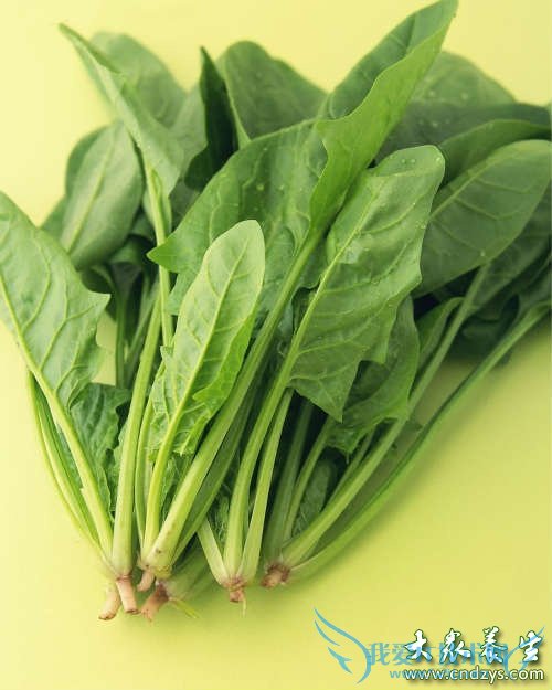 0-1�걦���ĸ�ʳ����������(8)