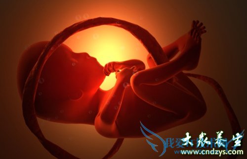 ����������̥���ж��