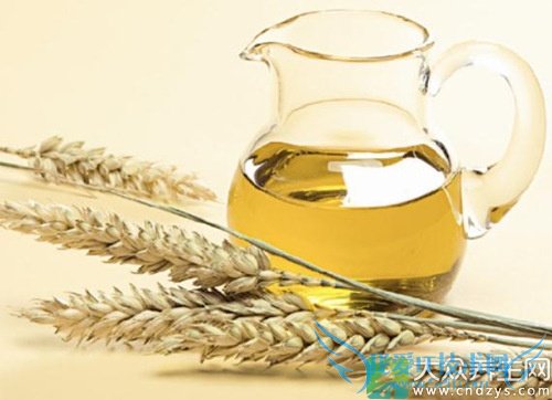 ��Ѫѹ�ܳ���������