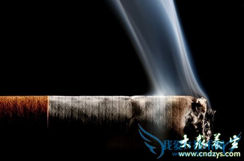 �������˱���������10��ԭ��(1)