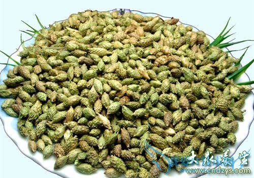 ��ͯ�����Ա���ƫ��