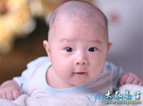 �����±���������