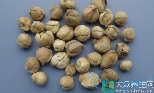 �и��ܷ�԰׶�ޢ