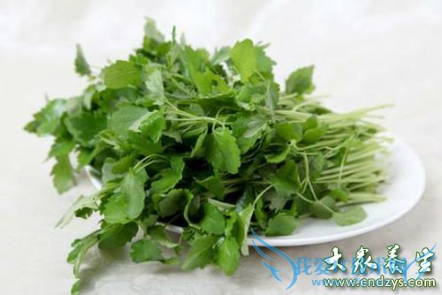 ���п��Գ���ĸ����