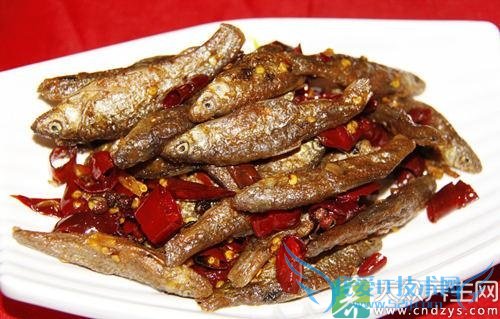 Ƥ�������ܳ԰�������