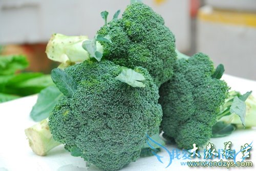 Ů�˵�ʮ���̲�ʳ��(9)