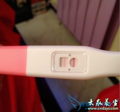 ���а�׼��