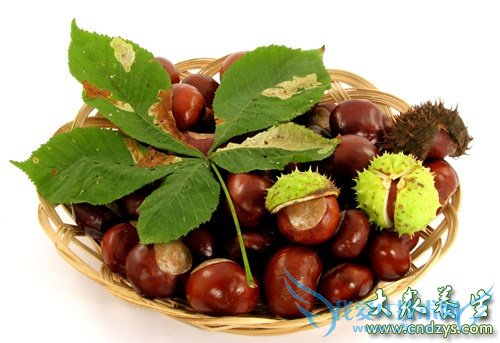 ����10�־�����ʳ �и�̥��Ӫ���� (9)