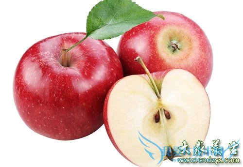 ����10�־�����ʳ �и�̥��Ӫ���� (8)