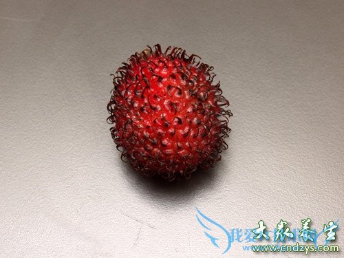 �����ܳԺ�ë����