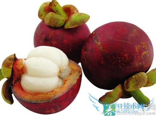 �¾��ڿ��Գ�ɽ���� 