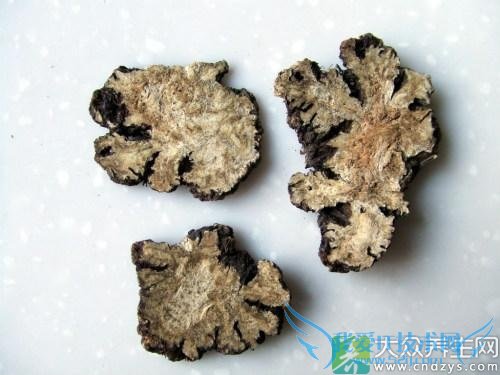 Ƥ�������ܳԴ�ܺ��