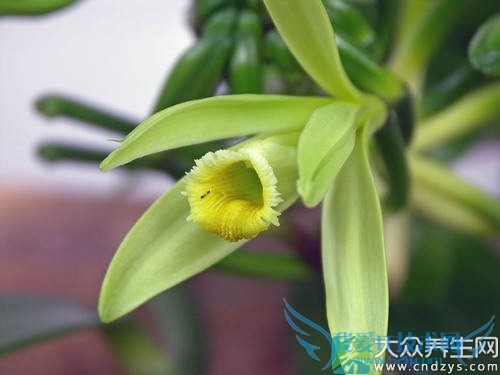 �и��ܳ������