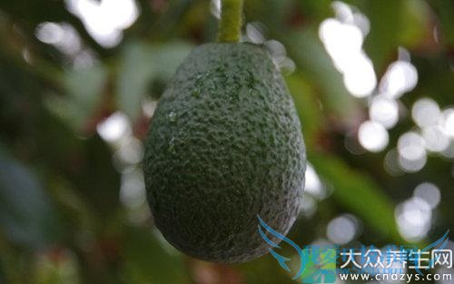 �����ܳ�ţ�͹���