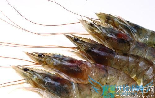 Ƥ�������ܳԶ�Ϻ��