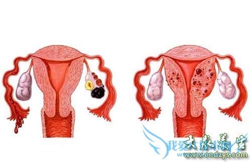 Ů��˽�ܲ�λ�°������а�(5)