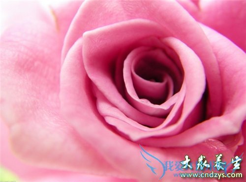 Ů�˶��Լ�˽�ܴ�����ʮ�����(2)