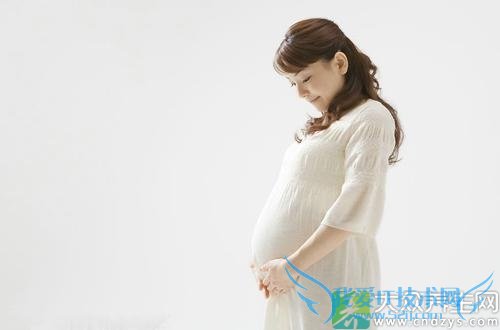 ����ƾ������衰����������!(1)